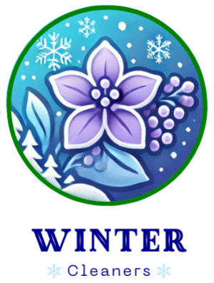 Winter Cleaners