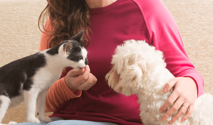 Lucia's Housecleaning & Pet Sitting Services