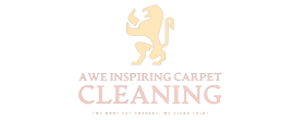 Awe Inspiring Carpet Cleaning