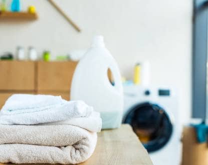 HOME CLEANING SERVICES