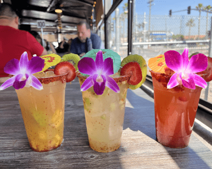 MOBILE BARTENDING SERVICES