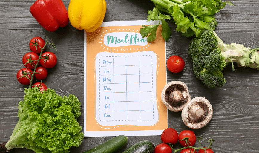 Mini Explorer's Academy