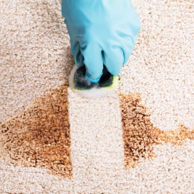 CARPET CLEANING SERVICE