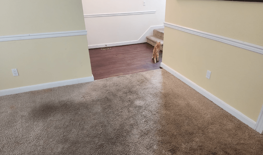 Tighten Up Home Repair and Remodeling