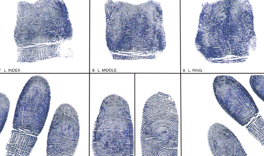 TAF Diagnostics Services