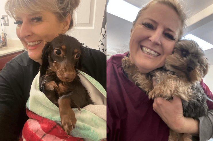 Torrey BeUtahful Grooming