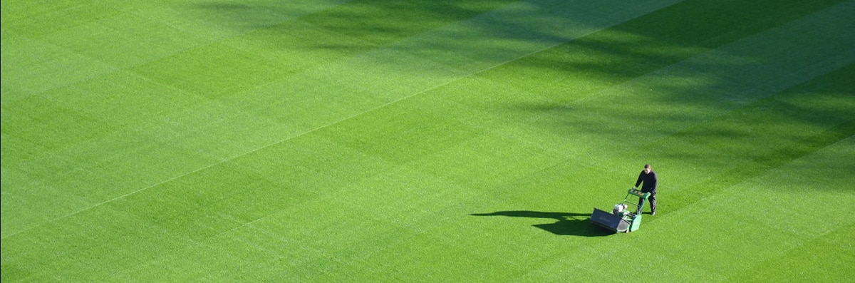 Lawn Mowing Maintenance