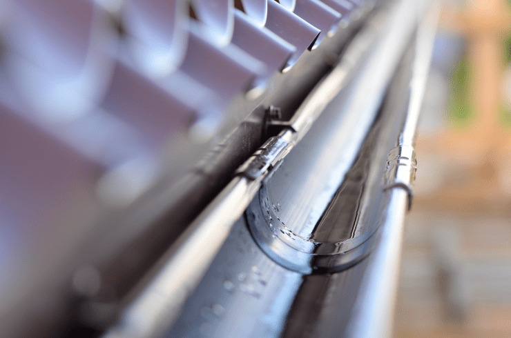 Reyes Gutter Cleaning