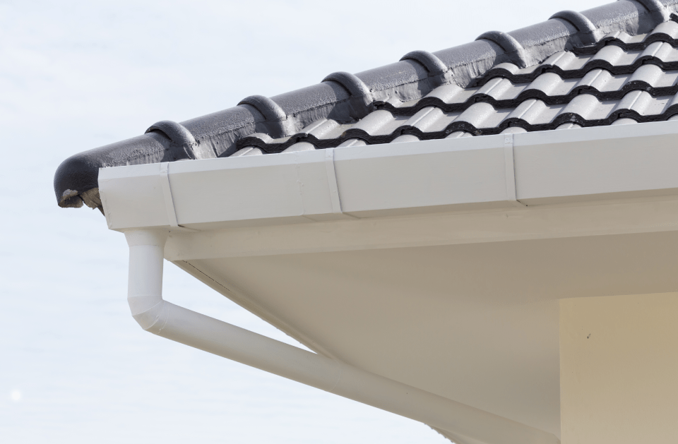 Reyes Gutter Cleaning