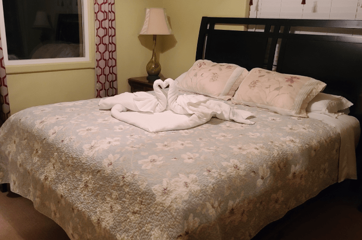 Lucia's Housecleaning & Pet Sitting Services