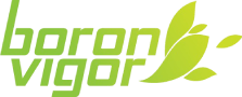 BoronVigor