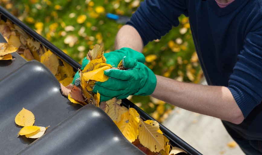 Solar Shine Pro Clean