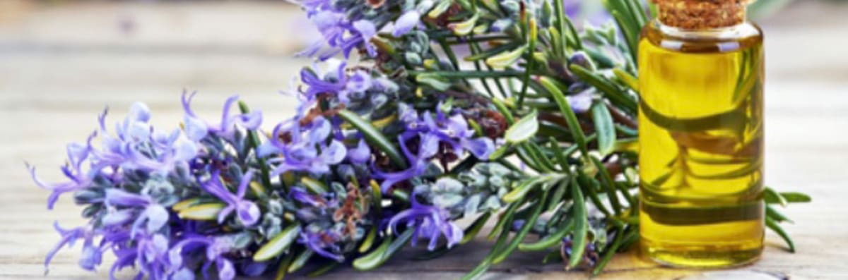 Aromatherapy Service