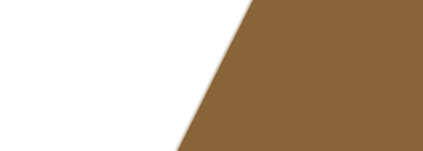 Women's Dreadlocks Services