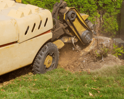 STUMP GRINDING