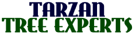 Tarzan Tree Experts