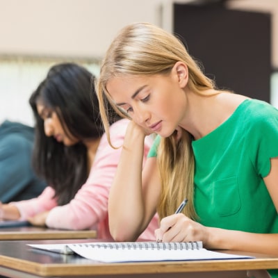 SCHOOL CONSULTANT SERVICES