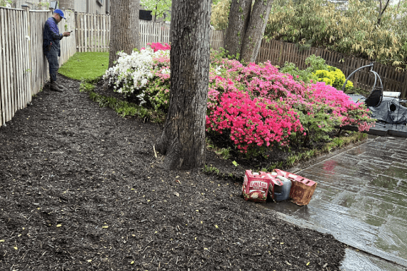 Martinez Landscape Services
