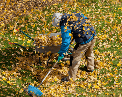 LEAF CLEANUP