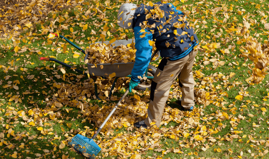 Carl Smith Lawn Service and Snow Removal