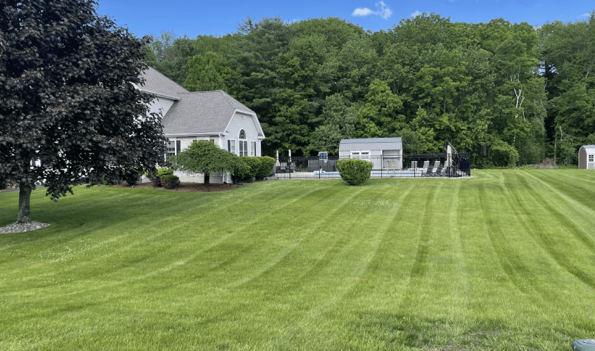 Carl Smith Lawn Service and Snow Removal