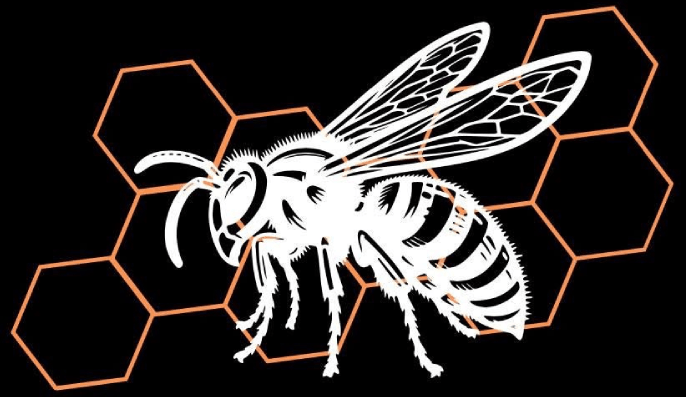 Shanklins Pest Solutions