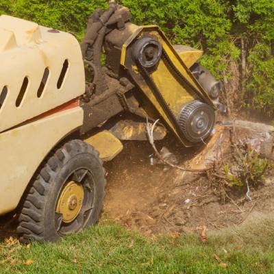 STUMP GRINDING