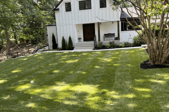 Martinez Landscape Services