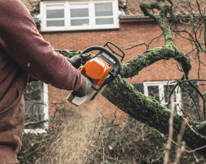EMERGENCY TREE REMOVAL