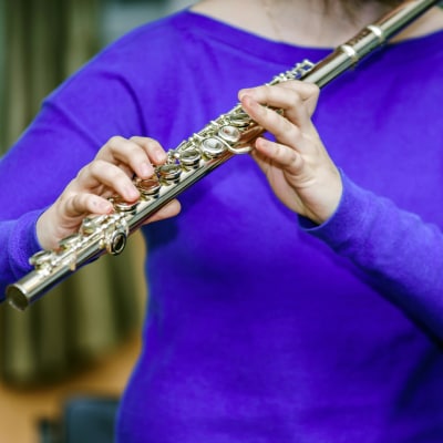 PRIVATE FLUTE LESSONS