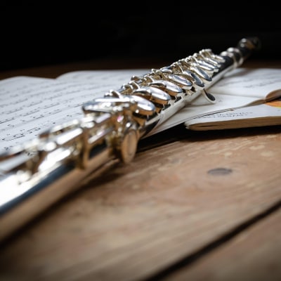 VIRTUAL FLUTE LESSONS