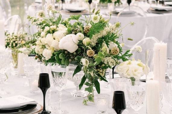 Tropic all Blooms n' More LLC