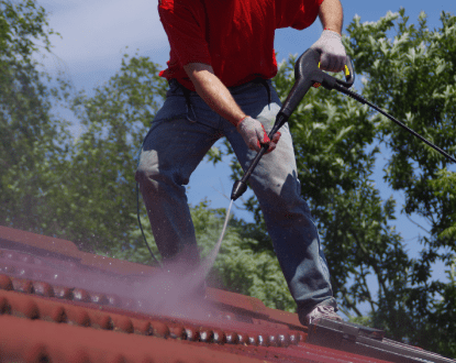 ROOF CLEANING SERVICES