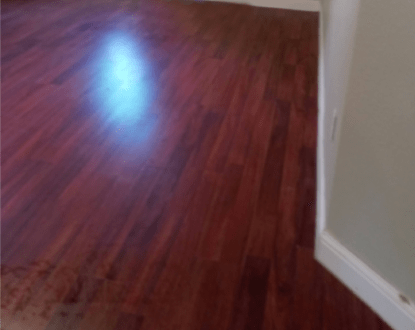 HOUSE CLEANING SERVICES