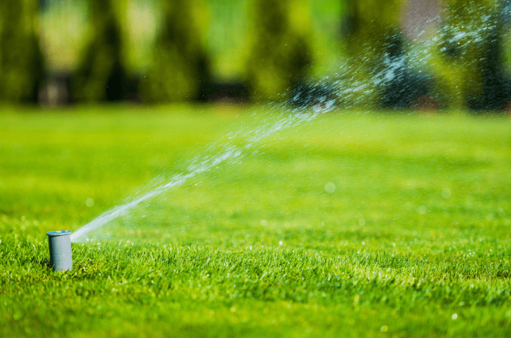 CB Reliable Lawncare