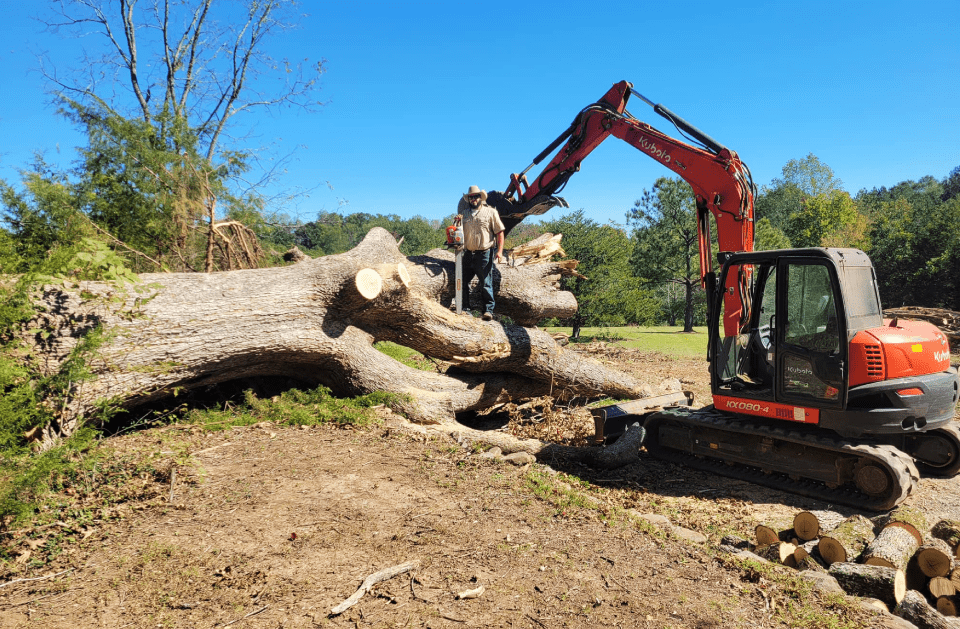 Blue Mountain Grading & Tree Service