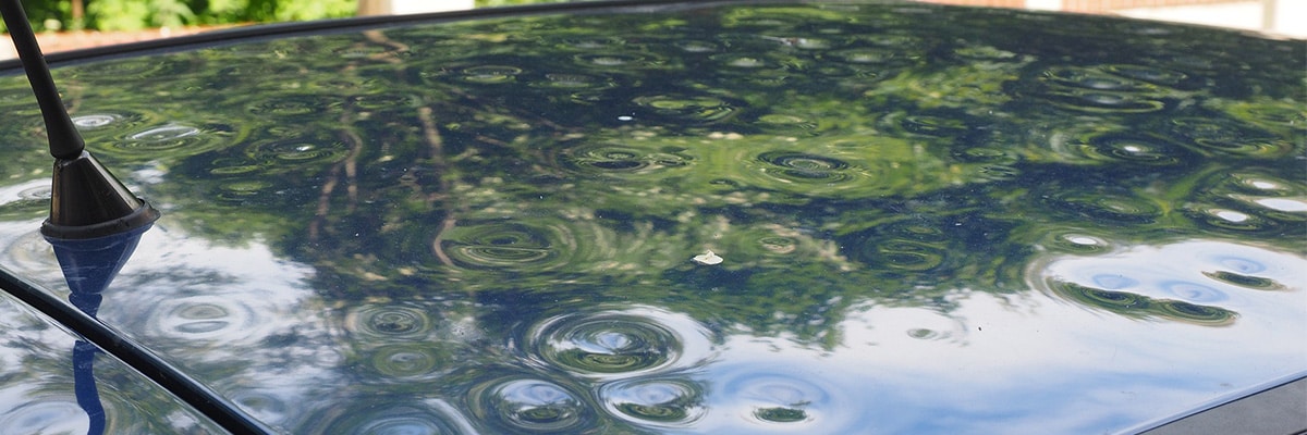 Hail Damage Repair