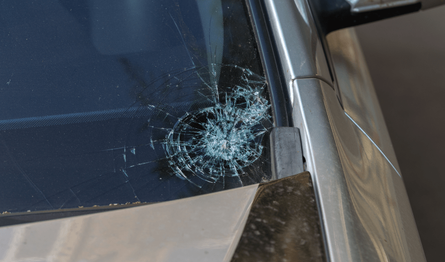 Gold Leaf Auto Glass