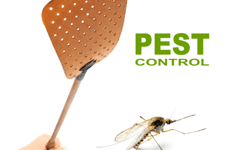 Grady's Pest Control