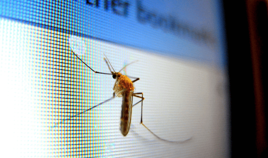 Grady's Pest Control