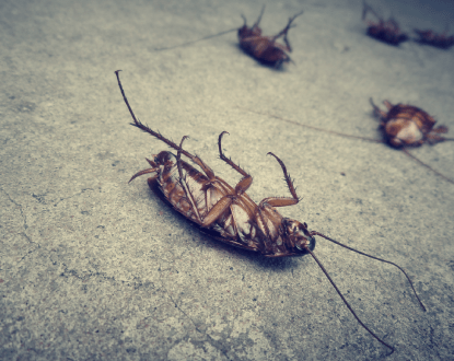 COCKROACH CONTROL