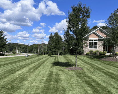 RESIDENTIAL MOWING SERVICES