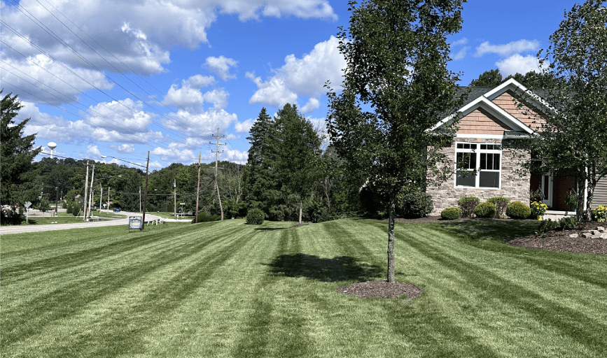 CB Reliable Lawncare