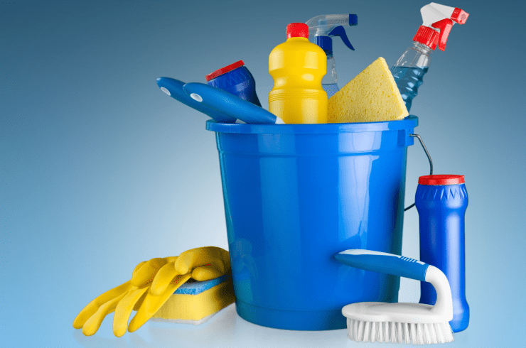 Onelia Alonzo House Cleaner