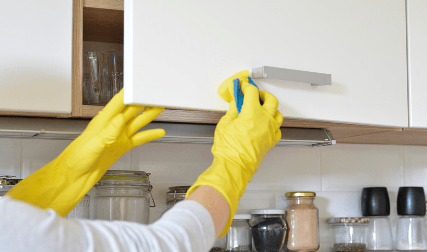 Onelia Alonzo House Cleaner