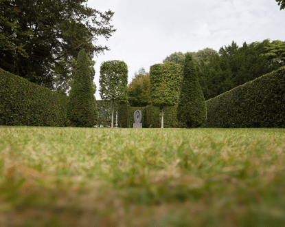 COMMERCIAL LANDSCAPING SERVICES