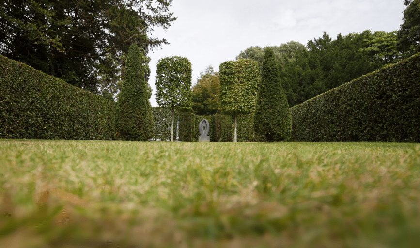 Hernandez 3 Bros Landscape