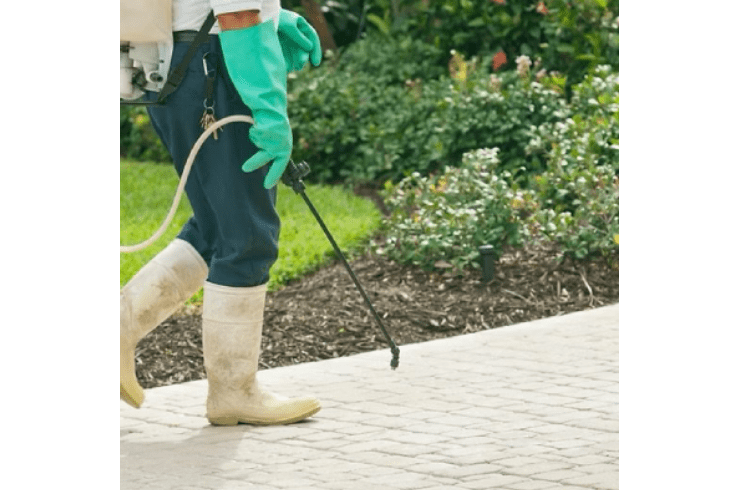 Elite Control Solutions