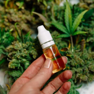 CBD OIL
