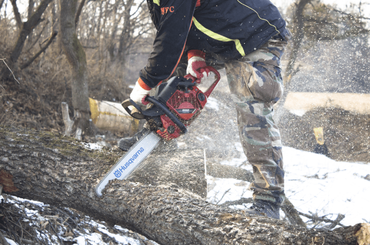 B&C's Tree And Outdoor Services